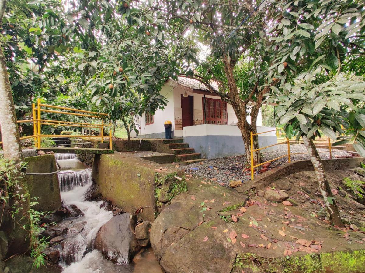 Nutmeg Valley Idukki Buitenkant foto