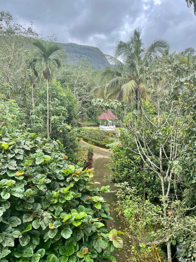 Nutmeg Valley Idukki Buitenkant foto