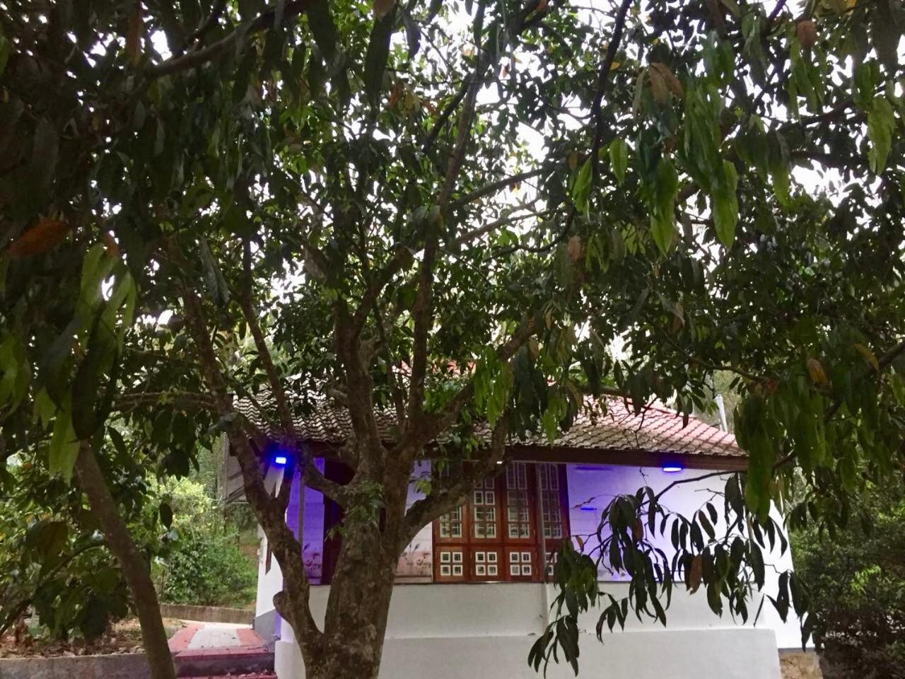 Nutmeg Valley Idukki Buitenkant foto