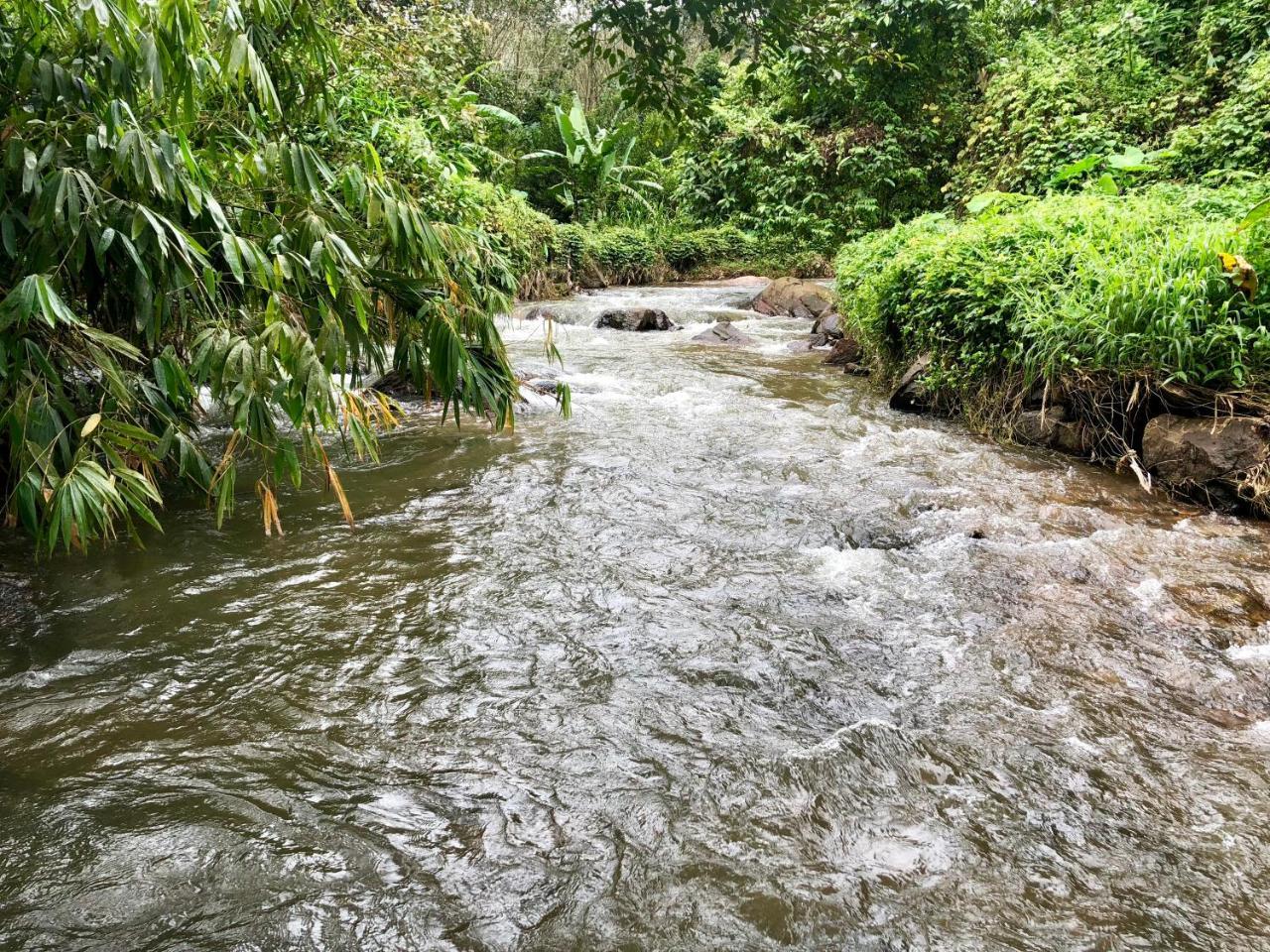 Nutmeg Valley Idukki Buitenkant foto